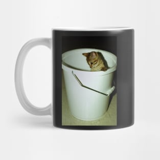 Cutie - Leopard-spotted Bengal Kitten (Did I Dive in There?) Mug